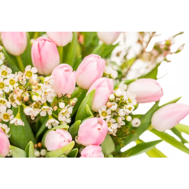 Kytice růžových tulipánů